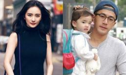 Mối quan hệ với Dương Mịch xuống dốc là do Lưu Khải Uy thuê bloggers đăng bài bôi nhọ, một mình xây dựng hình ảnh người cha tốt?