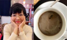 Ở khách sạn 4 sao, MC Thảo Vân giật mình thấy bọ 'bơi' trong cốc cafe, bò tứ tung khi đang ngủ
