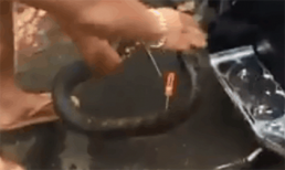 Nhóm người thay nhau lôi rắn khủng từ trong xe máy ra ngoài