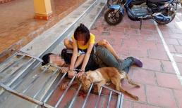 Cặp tình nhân chuyên hành nghề 'cẩu tặc' bị bắt tại trận, xích cùng nhau bên tang vật