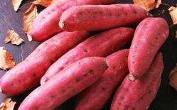 Mắt thường xuyên bị mờ chỉ cần ăn 3 loại thực phẩm này, giúp cải thiện thị lực tránh xa cận thị, viễn thị