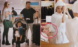 Nhìn qua cứ ngỡ Đàm Vĩnh Hưng và Mỹ Tâm ở chung nhà, ngủ chung phòng nhưng sự thật lại khác