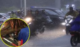 Bão số 4 gây mưa lớn ở Hà Nội, một thanh niên 26 tuổi bị cây đè tử vong