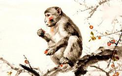 Tháng 8 âm có 3 con giáp lội ngược dòng may mắn dồn dập, công việc suôn sẻ, tiền bạc dư dả