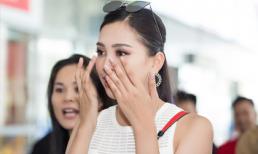 Hoa hậu Tiểu Vy ngậm ngùi thông báo ông nội qua đời, sao Việt đồng loạt chia buồn