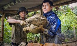 Người dân ôm lợn, lái máy cày 'chạy lũ'