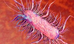 Cảnh báo: Vi khuẩn ăn thịt người tấn công, đây là biện pháp phòng tránh mà ai cũng phải biết