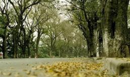 Cuối tuần miền Bắc có thể đón không khí lạnh