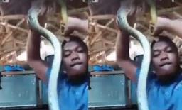 Thích cà khịa mãng xà, thanh niên 'cứng' nhận bài học nhớ đời