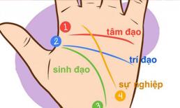 Chỉ 1 phút nhìn đường chỉ tay biết ngay vận mệnh giàu sang nghèo hèn