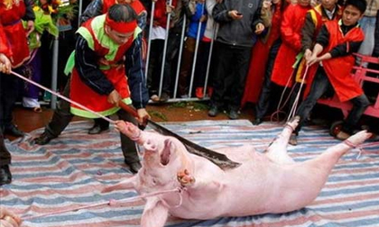 Những lễ hội "dựng tóc gáy" chỉ có ở Việt Nam