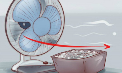8 mẹo làm mát nhà để không có điều hòa vẫn 'sống sót' qua mùa nóng cao điểm