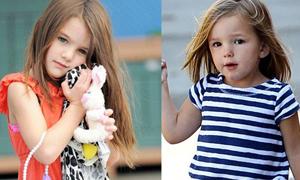 Khoảnh khắc ngộ nghĩnh của con Sao