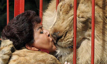 Cách trả ơn của “chúa sơn lâm”