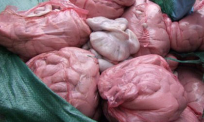 Hà Nội: Bắt giữ 2 tấn nội tạng trái phép