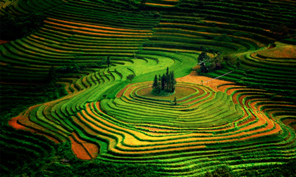 4 mùa Lào Cai đẹp sững sờ