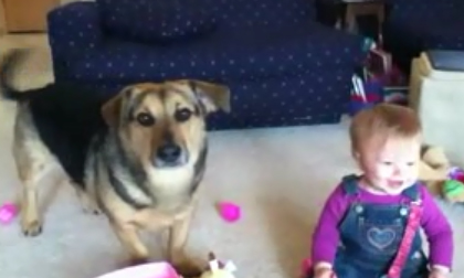 Clip tiếng cười của em bé thu hút hơn 4 triệu lượt xem