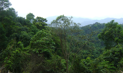 Những chuyện kỳ bí về “rừng ma” của người Vân Kiều