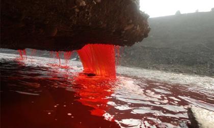 Trung Quốc bỗng nhiên xuất hiện "Dòng sông máu"