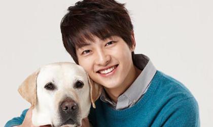 Các sao Hàn muốn nghỉ Giáng sinh cùng đồng nghiệp nào?