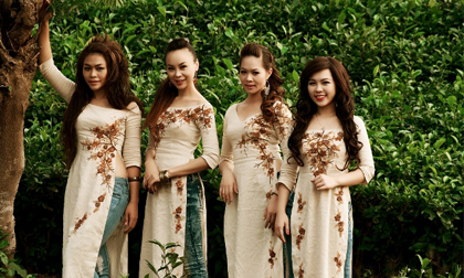 "Mặt trời đỏ" trên những đồi chè Thái Nguyên