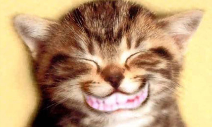 Cười không kể thời tiết