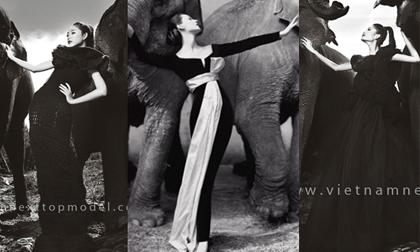 Nghi án đạo ý tưởng của Vietnam’s Next Top Model