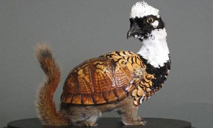 Những động vật "lai" kỳ thú