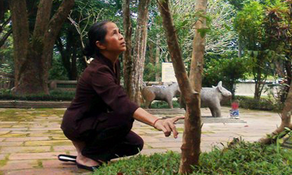 Kỳ lạ với những cây ổi biết... “cười”!