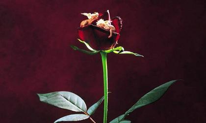 Thứ năm của bạn