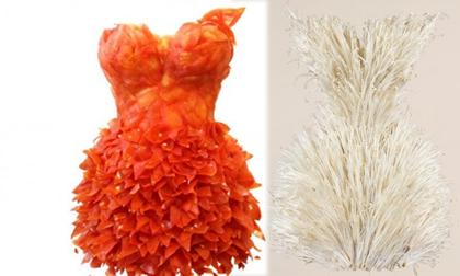 Kỳ lạ váy dạ hội làm từ củ quả