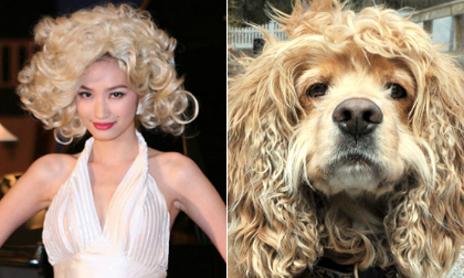 'Giật mình' ngắm phiên bản 2.0 của Sao Việt! (P1)