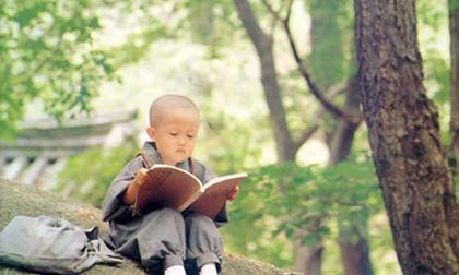 Bài dự thi: Chú tiểu nhớ về mẹ 