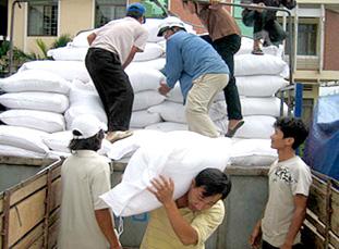 Chính phủ quyết định mua lương thực dự trữ