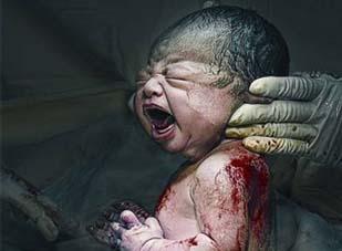 "Qua ô cửa" của nghệ sĩ nhiếp ảnh bậc thầy