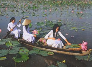 Triển lãm Đời nón - đời người và Ruộng bậc cao