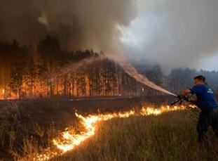 Thí điểm bảo hiểm nông nghiệp