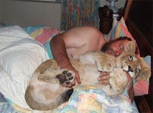 Ngủ chung giường với sư tử suốt 4 năm