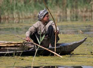 Phim về đời sống hoang dã Iraq đoạt giải thưởng lớn