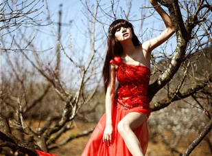 Vũ khúc ánh sáng