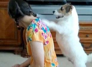 Chó làm việc như người