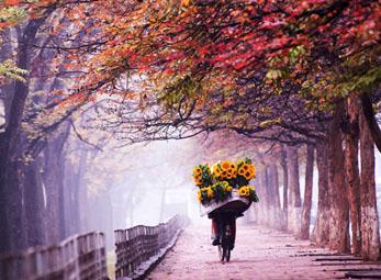 Em vẫn thế, vẫn chờ anh mùa lá tháng Tư