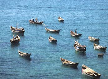 Thi viết kịch ngắn về biển, đảo