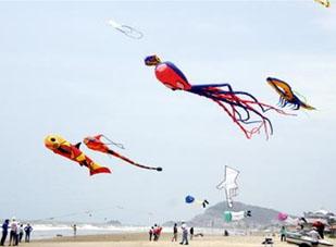 Diều lượn trên biển vũng Tàu