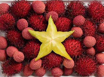 Quốc kỳ làm từ đồ ăn