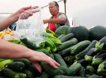 Châu Âu: 1.200 người nhiễm khuẩn E.coli