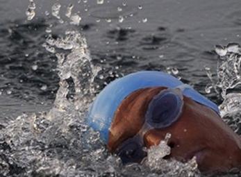 Người phụ nữ 61 tuổi bơi vượt biển đầy cá mập mà không cần bảo vệ