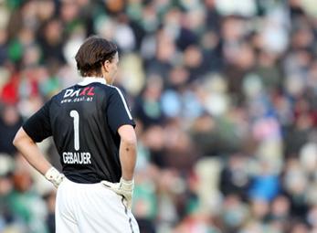 Đã thua lại còn hoang