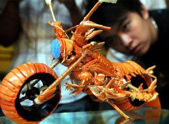 Đầu bếp Đài Loan chế motor từ tôm hùm 