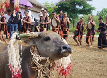 Độc đáo lễ hội mừng nhà mới của người Giẻ Triêng